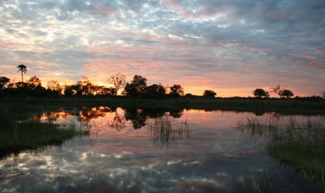 Matahari terbenam di Delta Okavango di Botswana.