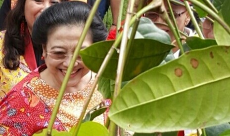 Megawati di Kebun Raya Bedugul, Sabtu (6/8).