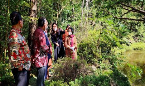 Megawati Soekarnoputri di sela penanaman pohon di Megawati Garden Jeju, Rabu (14/9/2022),