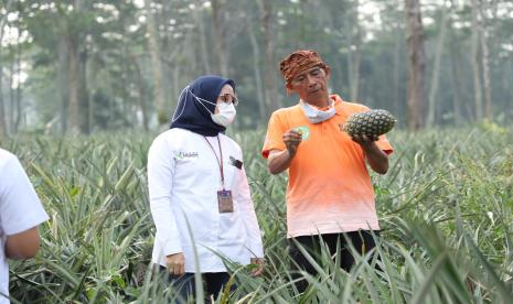 Melalui program Kampung Nanasku, produk yang dihasilkan masuk standar pasar modern atau supermarket serta diminati pasar luar negeri.