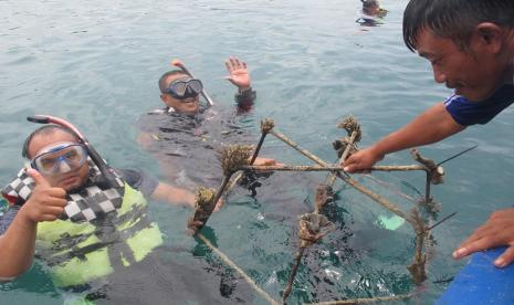 Melalui program tanggung jawab sosial dan lingkungan (TJSL), PLN kembangkan 32 kawasan konservasi flora dan fauna yang tersebar di seluruh Indonesia.