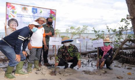 Melanjutkan kegiatannya dalam kunjungan kerja di Pulau Belitung, Gubernur Kepulauan Bangka Belitung (Babel), Erzaldi Rosman bersama Ketua TP PKK Babel, Melati Erzaldi melakukan penanaman pohon mangrove bersama kelompok tani hutan di Kawasan Pantai Pering, Kelapa Kampit, Kabupaten Belitung Timur, Kamis (5/11). 