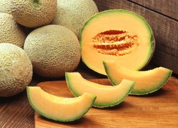 Melon 