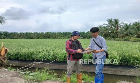 Memasuki musim panen, petani di Desa Telang Sari, Kecamatan Tanjung Lago, Kabupaten Banyuasin, mengapresiasi serapan gabah oleh Bulog meski harga jual belum sesuai Harga Pembelian Pemerintah (HPP) di lapangan.