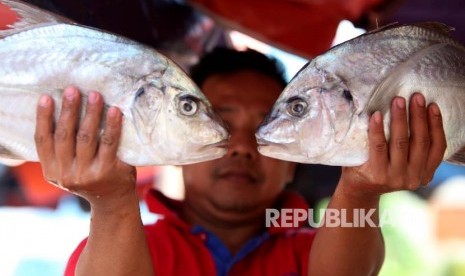 Membeli ikan segar di pasar dipandang jauh lebih menyehatkan dari ikan kalengan.