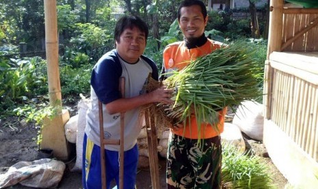 Member Difabel Rumah Zakat, Budidayakan Bawang