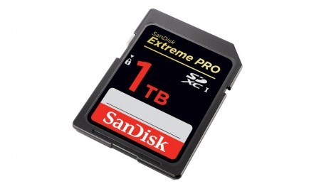 Memory Card Sandisk