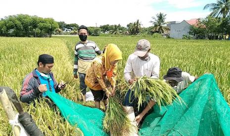 Memperingati Hari Tani Nasional, PT Pupuk Indonesia (Persero) berkomitmen mendukung sektor pertanian melalui penyediaan pupuk hingga layanan terbaik kepada petani. Upaya ini dilakukan untuk memastikan agar pertanian menjadi sektor yang terus berkontribusi positif dalam pertumbuhan ekonomi nasional.