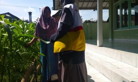 Menanam jagung memanfaatkan lahan kosong di Masjid. 