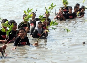 Menanam Mangrove, program corporate social responsibility (CSR) sebuah perusahaan operator telepon selular