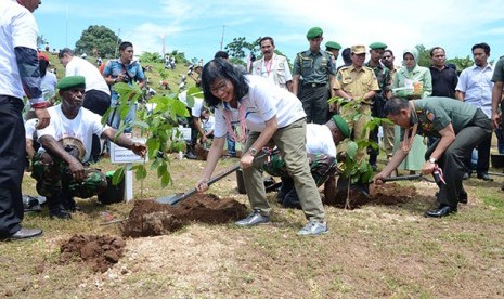 Menanam pohon