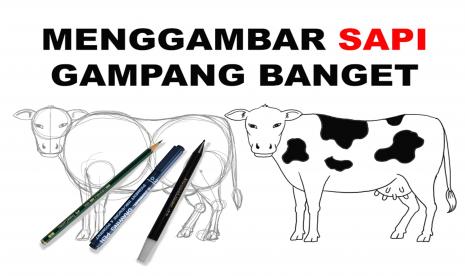 menggambar sapi