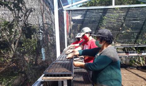 Menghadapi ancaman krisis pangan karena musim kemarau dan pandemi Covid-19, Mentan SYL menganjurkan masyarakat mengoptimalkan lahan pekarangan untuk memenuhi sumber pangan.