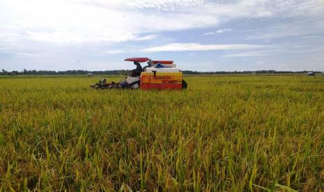 Menghadapi wabah virus corona yang disebut juga Covid-19 Menteri Pertanian, Syahrul Yasin Limpo (SYL) selalu menegaskan Kementerian Pertanian mengawal ketat ketersediaan 11 komoditas pokok kebutuhan masyarakat.