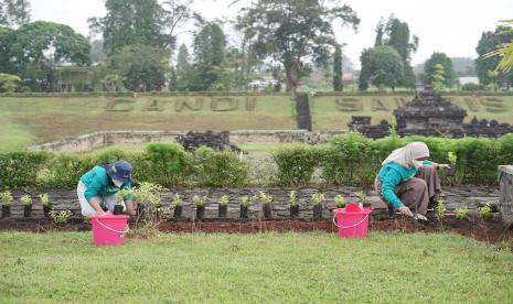 Menghijaukan lingkungan sekitar candi melalui program 