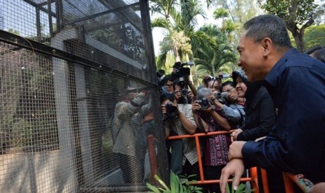 Menhut didampingi Wali Kota Surabaya meninjau lokasi penangkaran jalak bali di Kebun Binatang Surabaya.