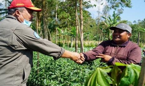 Menjelang bulan Ramadhan yang semakin dekat, Direktur Jenderal Hortikultura Prihasto Setyanto memantau kondisi riil pertanaman cabai di Kabupaten Garut sebagai sentra cabai terbesar nasional pada Rabu (17/3).