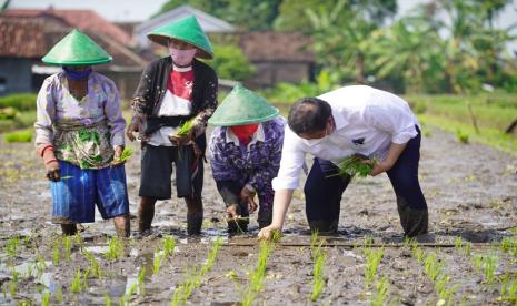 Menko Perekonomian Airlangga Hartarto saat bersama petani Desa Sidowayah, Kecamatan Polanharjo, Kabupaten Klaten, Jawa Tengah. Untuk diketahui, Program milenial smart farming merupakan ekosistem pemberdayaan milenial melalui pembinaan dan pengembangan ekosistem pertanian digital (IoT) dari hulu ke hilir serta meningkatkan Inklusi Keuangan Desa. 