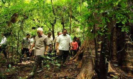   Menko Perekonomian Hatta Rajasa didampingi Menteri Kehutanan Zulkifli Hasan (kanan) meninjau kawasan hutan jati di Darupono, Kaliwungu Selatan, Kendal, Senin (27/1). 