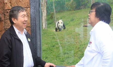 MenLHK Siti Nurbaya Bakar mengunjungi Istana Panda Indonesia (IPI) didampingi Direktur Utama Taman Safari Indonesia, Jansen Manansang.