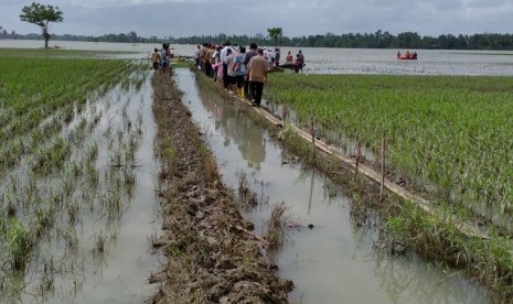 Mentan Amran memeriksa bantuan pupuk yang akan diberikan secara gratis kepada petani korban banjir di Kabupaten Wajo, Provinsi Sulsel, Senin (9/7).