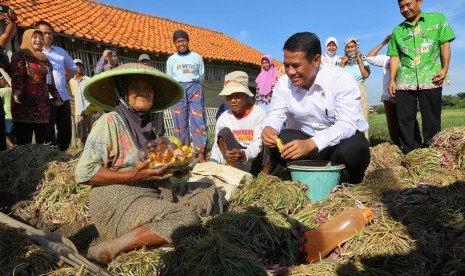 Mentan Amran Sulaiman berbincang bersama petani