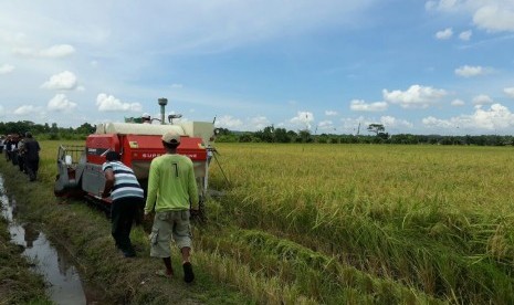 Mentan Andi Amran Sulaiman menghadiri panen raya padi Ciherang seluas 300 hektare di Desa Mandalasari, Kecamatan Mataram Baru, Kabupaten Lampung Timur, Provinsi Lampung, Jumat (10/11). 