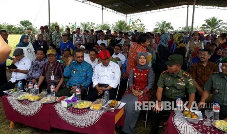 Mentan Andi Amran Sulaiman menghadiri panen raya padi Ciherang seluas 300 hektare di Desa Mandalasari, Kecamatan Mataram Baru, Kabupaten Lampung Timur, Provinsi Lampung, Jumat (10/11). 