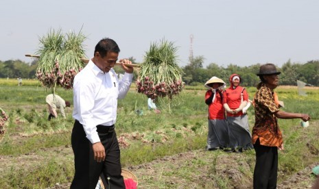 Mentan Andi Sulaiman panen bawang merah di Kabupaten Bresbes, Jawa Tengah