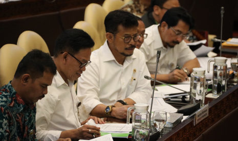 Mentan Syahrul dalam Rapat Kerja bersama DPR, Selasa (5/11).