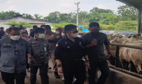 Mentan SYL meninjau peternakan sapi di Deli Serdang pastikan stok daging aman.