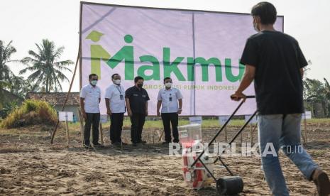 Menteri BUMN Erick Thohir (kedua kanan) didampingi Dirut PT Pupuk Sriwidjaja Palembang Tri Wahyudi Saleh (kedua kiri), Dirut PT Rajawali Nusantara Indonesia (RNI) Arief Prasetyo Adi (kanan) dan Direktur Bisnis Kecil dan Menengah (BKM) Bank BRI Amam Sukriyanto (kiri) saat meninjau penanaman jagung program Makmur di Desa Muara Putih, Lampung, Sabtu (16/10/2021). Erick Thohir mengatakan pada program Mari Kita Majukan Usaha Rakyat (Makmur) memberikan banyak manfaat serta kemudahan bagi para petani tanah air dan BUMN fokus pada 40 ribu hektare untuk 28 ribu petani.