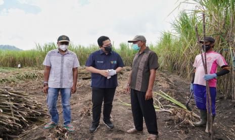 Menteri BUMN Erick Thohir (kedua kiri) meninjau PT Industri Gula Glenmore (IGG) yang dikelola PT Perkebunan Nusantara XII di lahan seluas 102,4 ha di Desa Karang Harjo, Kecamatan Glenmore, Kabupaten Banyuwangi, Sabtu (18/9/2021). 