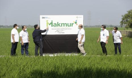 Menteri BUMN Erick Thohir melaksanakan panen padi di lahan milik petani yang mengikuti program Makmur di Kabupaten Karawang, Jawa Barat.