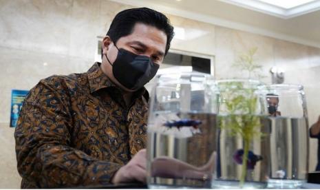 Menteri BUMN Erick Thohir sedang mengamati koleksi ikan cupang di Kantor Kementerian BUMN, Jakarta.