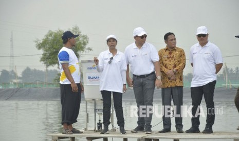 Menteri BUMN Rini Soemarno tinjau kawasan perhutanan sosial Muara Gembong, Kabupaten Bekasi, Selasa (17/4)  