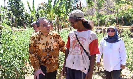 Menteri Desa dan Bupati Belu meninjau ladang pertanian Tomat, Bawang dan Wortel di Desa Silawan, Kecamatan Tasifeto Timur kabupaten Belu - NTT