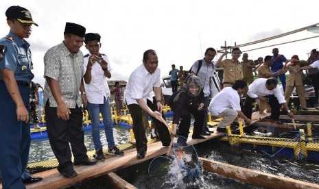  Menteri Desa, Pembangunan Daerah Tertinggal dan Transmigrasi (Kemendesa PDTT), Marwan Jafar mengunjungi panen raya ikan kerapu di Kampung Cipanon Desa Tanjung Jaya Kecamatan Panimbang Kabupaten Pandeglang, Selasa (12/4).