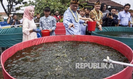 Menteri Kelautan dan Perikanan Edhy Prabowo (ketiga kiri) memberi pakan ikan saat melakukan kunjungan kerja di MA-217 Farm, Desa Parungserab, Kecamatan Soreang, Kabupaten Bandung, Kamis (2/1).