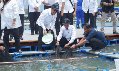 Menteri Kelautan dan Perikanan, Sakti Wahyu Trenggono meresmikan modeling budidaya lobster di Batam