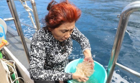 Menteri Kelautan dan Perikanan Susi Pudjiastuti. 