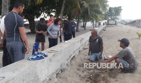 Menteri Kelautan dan Perikanan Susi Pudjiastuti temukan sarang tukik yang lokasinya persis di belakang hotel Pangeran Beach di Padang, Sumbar, Sabtu (10/2).