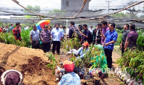 Menteri LHK Siti Nurbaya meninjau lokasi pembibitan buah-buahan yang ada di Kabupaten Buleleng, Provinsi Bali bersama Menteri Koperasi dan Usaha Kecil Menengah (KUKM) Anak Agung Gede Ngurah Puspayoga , Ahad (12/03).