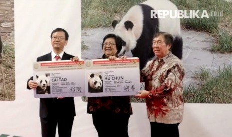 Menteri Lingkungan Hidup dan Kehutanan Siti Nurbaya Bakar (tengah) saat menyambut kedatangan sepasang Panda asal Cina.