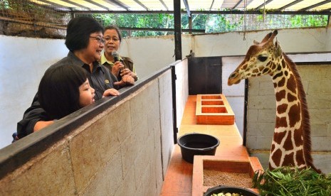 Menteri Lingkungan Hidup dan Kehutanan, Siti Nurbaya kunjungi Taman Safari Indonesia, Cisarua, Bogor (10/6).