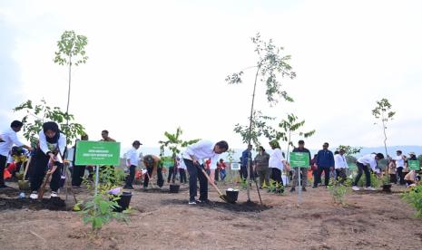  Menteri Lingkungan Hidup dan Kehutanan Siti Nurbaya mendampingi Presiden Joko Widodo melaksanakan penanaman pohon bersama masyarakat sejumlah titik di Ibu Kota Nusantara (IKN), Kabupaten Penajam Paser Utara, Provinsi Kalimantan Timur, Rabu (20/12/2023).