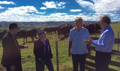 Menteri Luar Negeri Retno Marsudi saat mengunjungi peternakan Whenuanui Cattle Farm, di Helensivlle, Auckland, Selandia Baru, Senin (2/3) 2015 