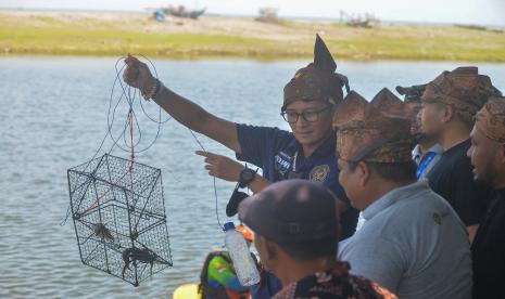 Menteri Pariwisata dan Ekonomi Kreatif (Menparekraf) Sandiaga Uno memanen kepiting kapau di kawasan Green Talao Park, Nagari Ulakan, Kabupaten Padangpariaman, Sumatera Barat, Selasa (5/7/2022). Menparekraf melakukan visitasi ke Nagari Ulakan yang merupakan satu dari 50 besar desa terpilih Anugerah Desa Wisata Indonesia (ADWI) 2022.