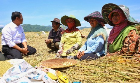 Menteri Pertanian Amran Sulaiman berbincang  dengan petani