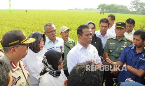 Menteri Pertanian  Amran Sulaiman bersama sejunkah pejabat melakukan panen padi di Kabupaten Karawang.